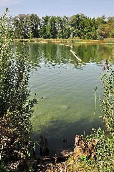 File:Greifensee - Storen, neolithische Seeufersiedlungen 2011-09-03 15-28-20.JPG