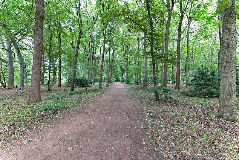 File:Großer Tiergarten southern part 2023-06-16 07.jpg