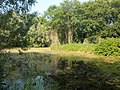 Pulverweiden, geschützter Landschaftsbestandteil