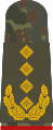 Slip-on loop field suit Army uniform carrier General