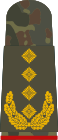 General (seragam lapangan)