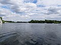 Havel from Hakenfelde ferry pier 2019-07-03 08.jpg