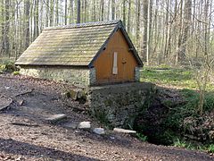 Fontaine dans la forêt.