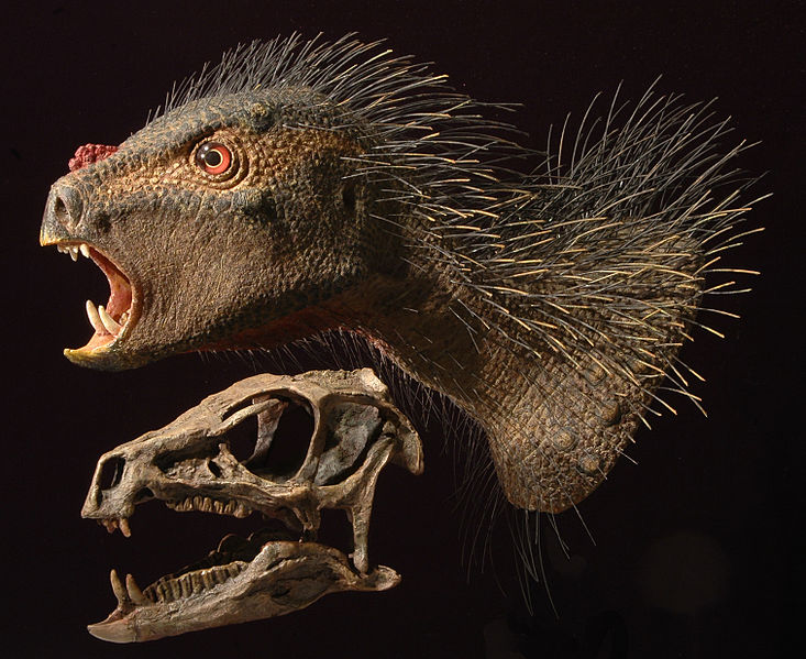 File:Heterodontosaurus model.jpg