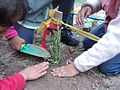 Thumbnail for Garden-based learning