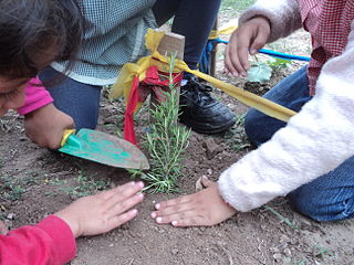 <span class="mw-page-title-main">Garden-based learning</span>
