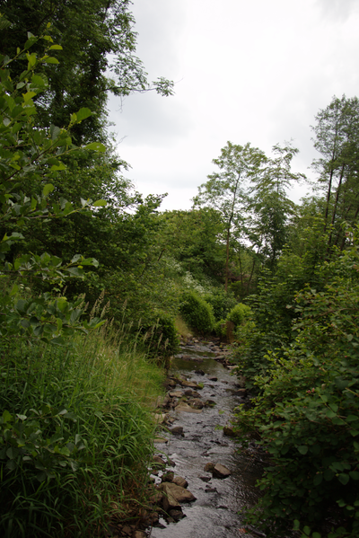 File:Hoher Vogelsberg Schotten Sichenhausen Nidder.png