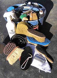 Common tools used for grooming a horse HorseGroomingTools.jpg