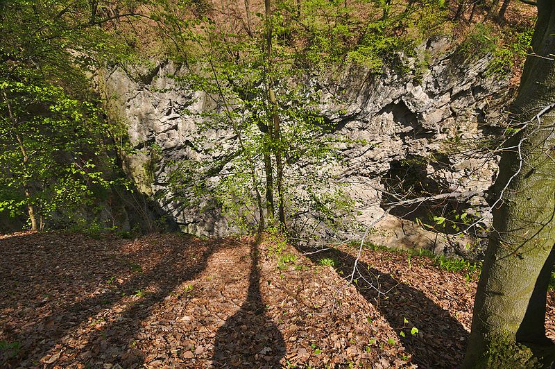 File:Hranická propast, národní přírodní rezervace Hůrka u Hranic, okres Přerov (02).jpg