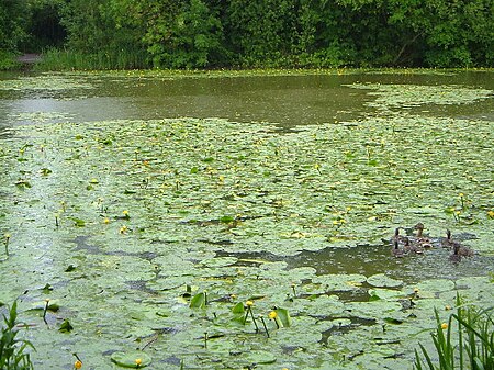 Hunstretelake