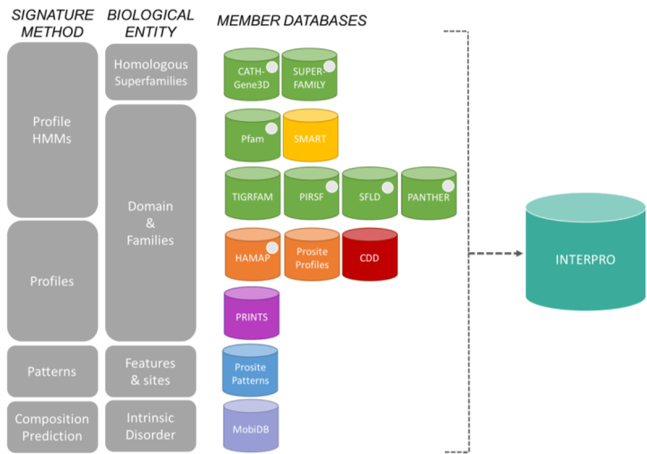 The 13 member databases of the InterPro consortium grouped by their signature construction method and the biological entity they focus on. InterPro consortium member databases.png