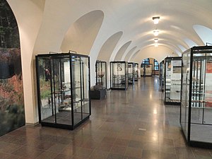 Finnish Stone Age collection