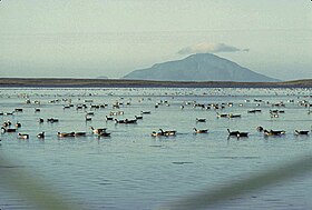 Vista da Ilha Amak com seu vulcão Amak.