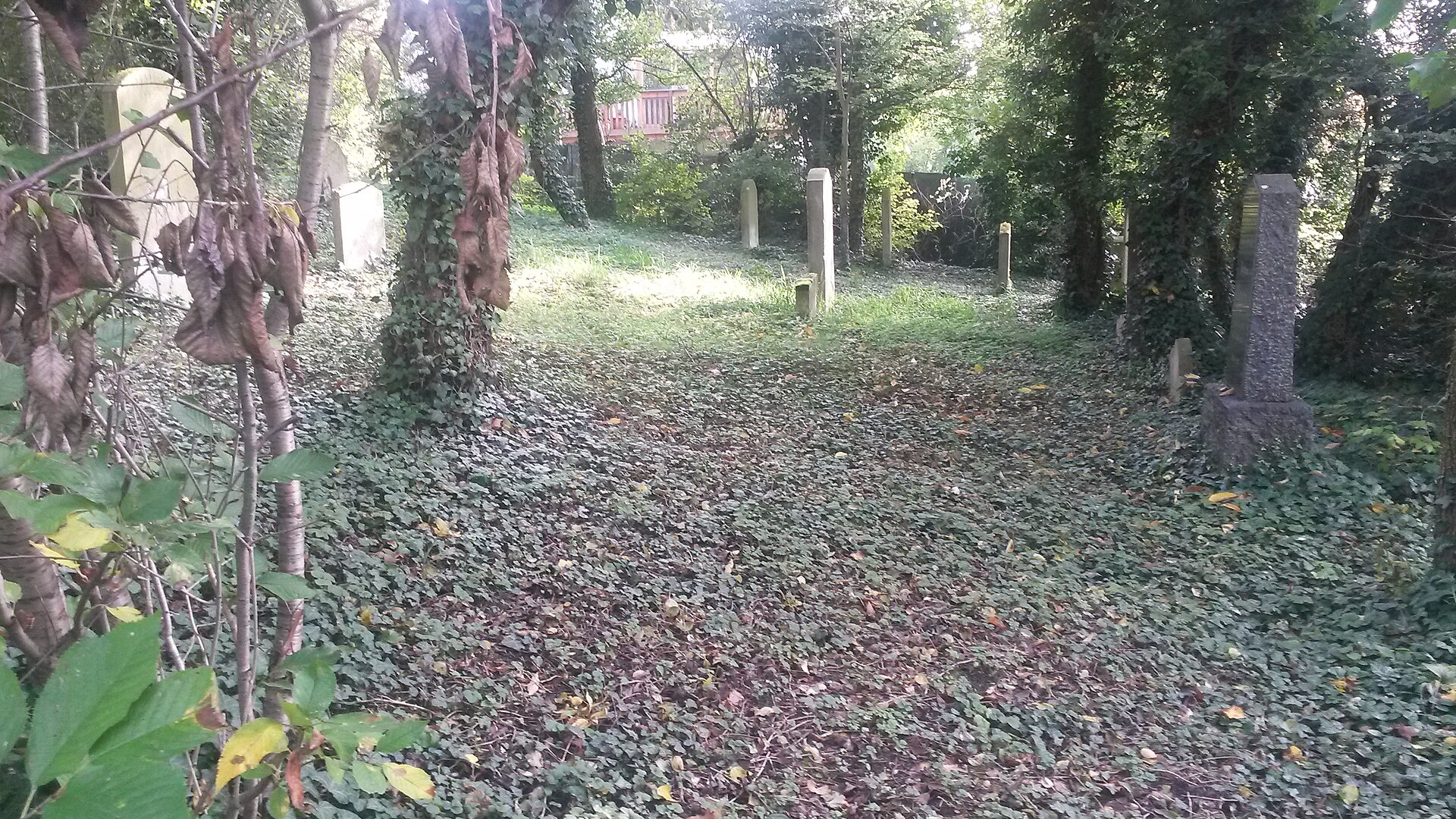 Denkmalzone Alter Jüdischer Friedhof