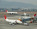 北ターミナルを利用する日本航空のエプロン