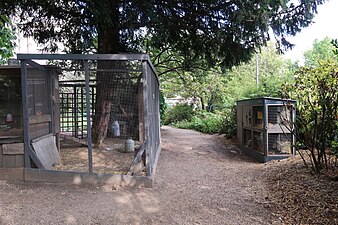 Poulailler et cages à lapin.