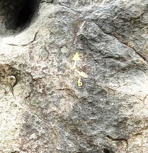 Fontainebleau Rock Climbing