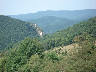 <span class="mw-page-title-main">Spruce Mountain (West Virginia)</span> Highest point in the state of West Virginia