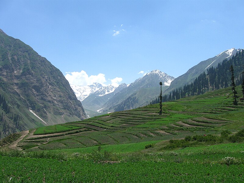 File:Kaghan Naran, Pakistan.JPG