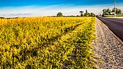 Thumbnail for Grant Township, Grand Traverse County, Michigan