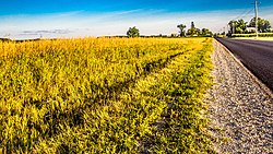 A field along Karlin Road in Grant Township