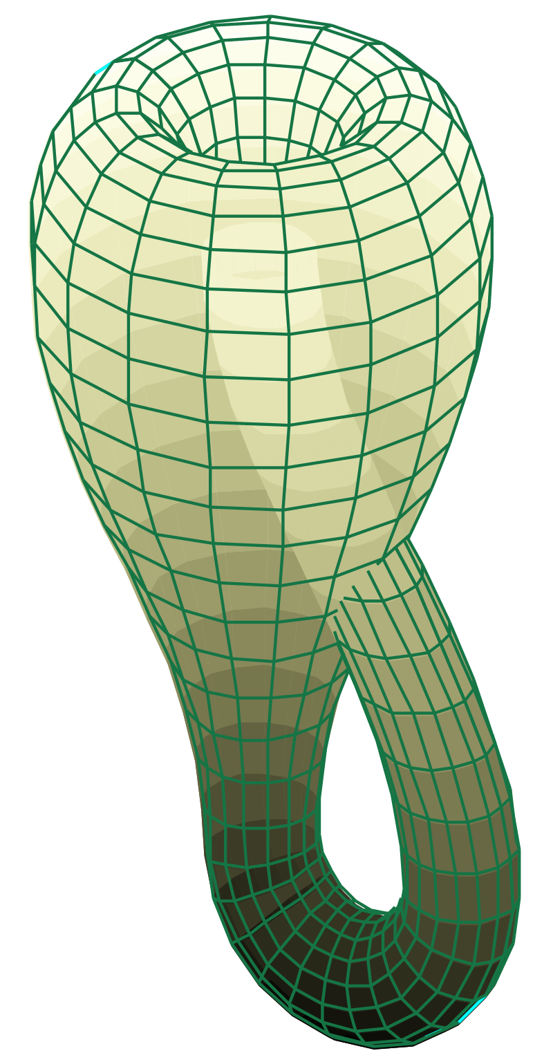 Multimedia Gallery - A two-dimensional representation of the Klein bottle  topology.