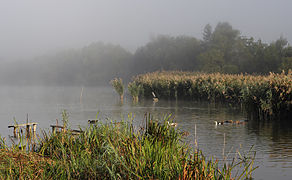 Komargorod pond, Tomashpil Raion of Vinnytsia Oblast. Ukraine.