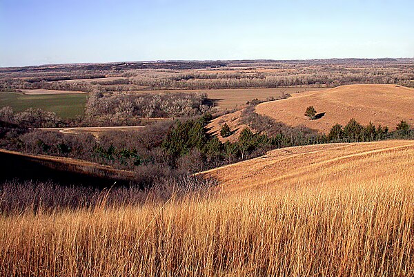 Konza Prairie Preserve, a tallgrass prairie in the Flint Hills