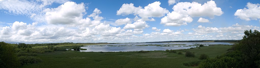 Krankesjön i Lunds kommun är en typiskt eutrof sjö. 