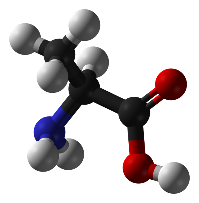 open haard makkelijk te gebruiken hardop Alanine - Wikiwand