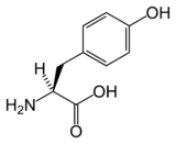 L-tyrosine-skeletal.png