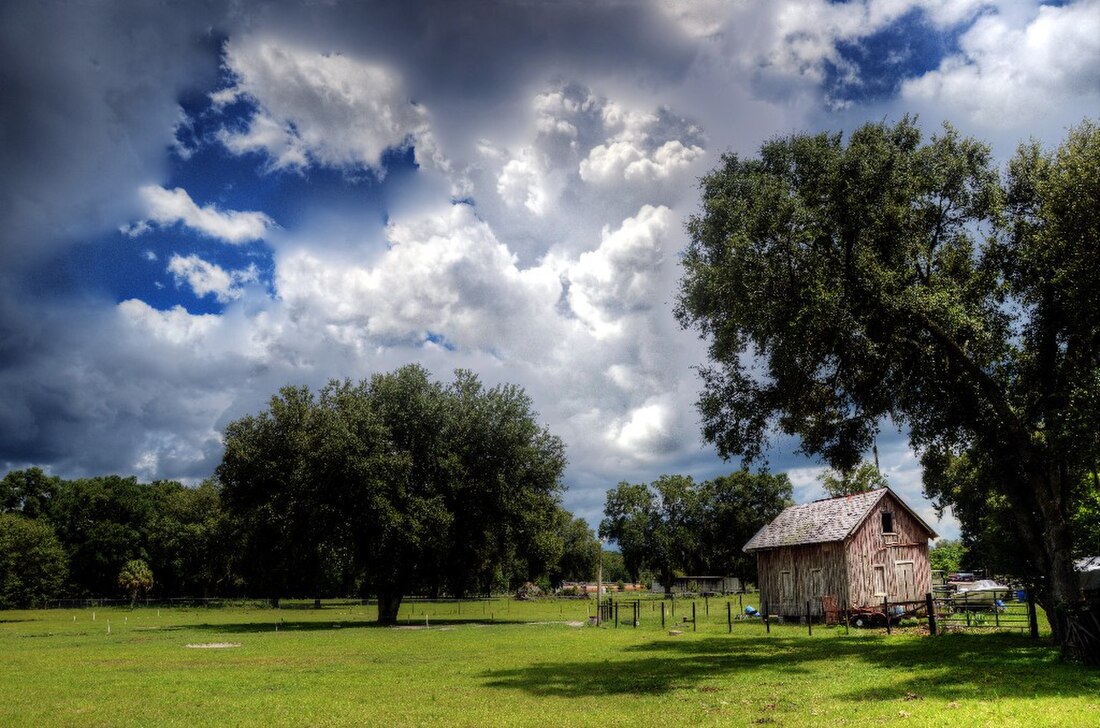 Lacoochee (Floride)