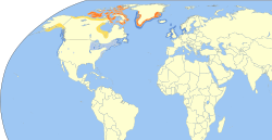 Utbredelseskart for grønlandsmåke