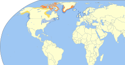 Distribution      гніздування     зимівля     бродяжні     рідкісні зальоти