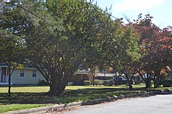 Lord Berkley east of Lord Ashley, Raleigh.jpg