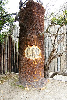 Re-creation of the tree inscribed with "CRO", from a production of The Lost Colony Lost Colony Tree - Fort Raleigh National Historic Site - Stierch.jpg