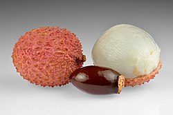 Lychee fruits and seed.jpg