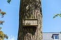* Nomination Sculpture “A Remembrance of Annette” (Ian Hamilton Finlay, 1987) in the Überwasserfriedhof in Münster, North Rhine-Westphalia, Germany --XRay 05:09, 15 July 2020 (UTC) * Promotion  Support Good quality -- Johann Jaritz 07:03, 15 July 2020 (UTC)
