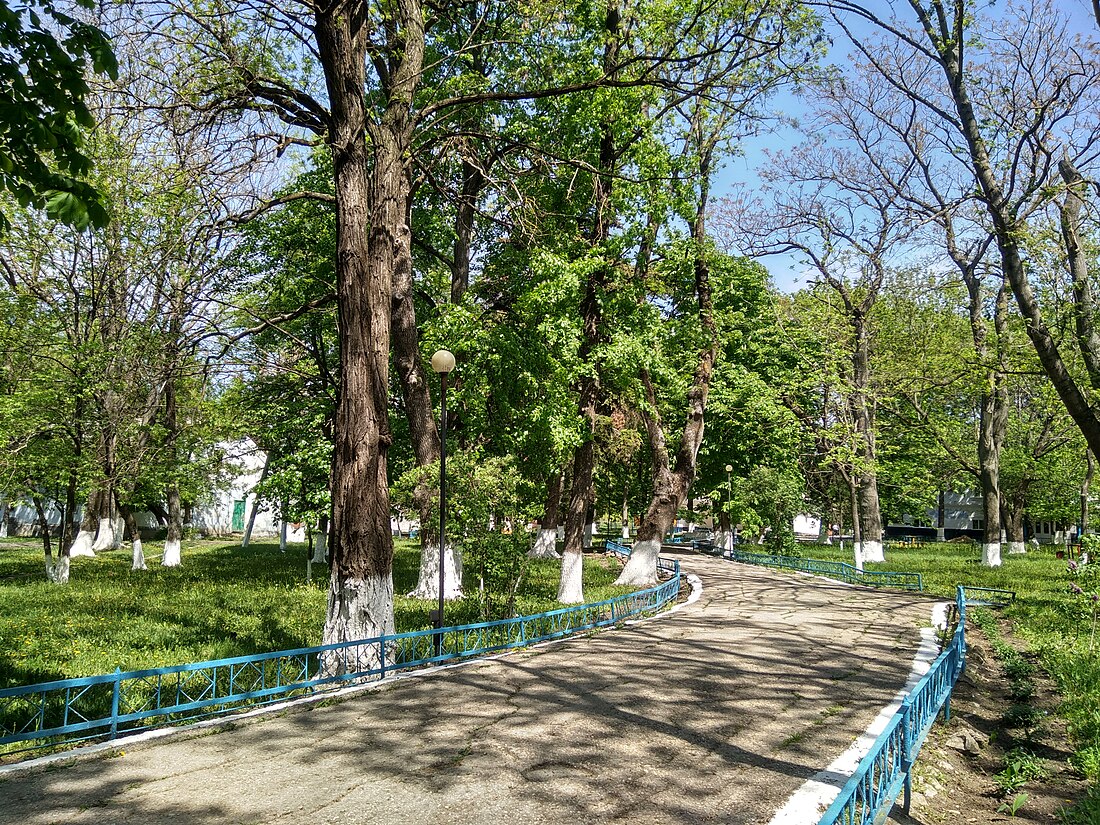 Parcul din satul Brînzeni