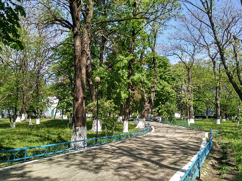 File:MD.ED.Brînzeni - parcul dendrologic din Brînzeni - apr 2018 - 06.jpg