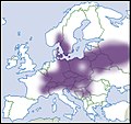 Vorschaubild der Version vom 20:45, 6. Mai 2018