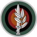 The Field Corps Command badge worn by the cadets since 1991