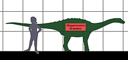 Elaf ,Magyarosaurus’ (mö mets 6) leigodü men (mö mets 1.80).