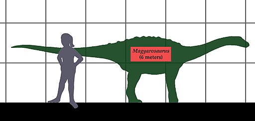 Magyarosaurus- human size