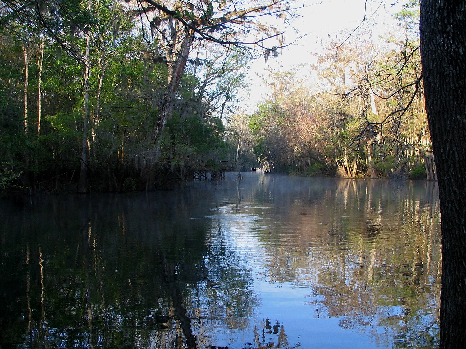 Category:Clinches Pond Reserve - Wikimedia Commons