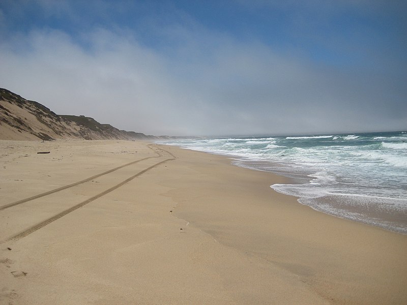 File:Marina State Beach.jpg