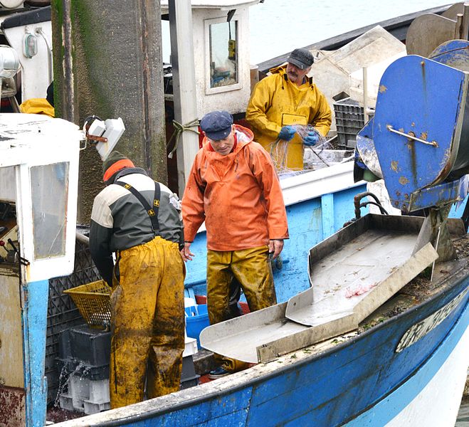 File:Marins-pêcheurs travaillant sur leur bateau au port (8).JPG