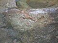 A Mason's Mark on the corbelled stone.