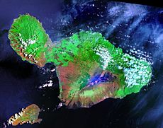 Остров Мауи, снимок из космоса.