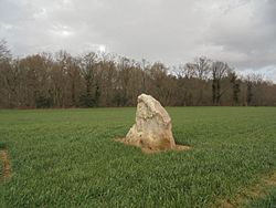 Image illustrative de l’article Menhir du Croc